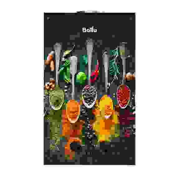 Колонка газовая Ballu GWH 10 Fiery Glass Curry