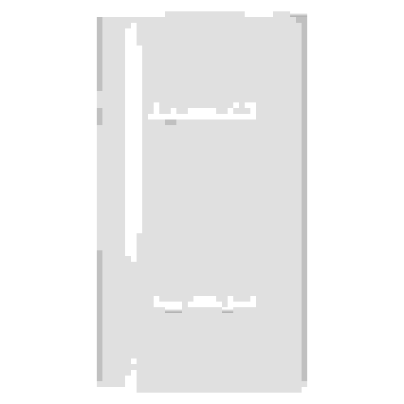 Водонагреватель Electrolux EWH 100 Maximus