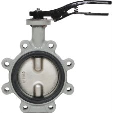 Затвор дисковый Giacomini поворотный с проушинами DN300, R59FLX030