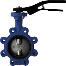 Затвор дисковый Giacomini поворотный с проушинами DN50, R59FLY005