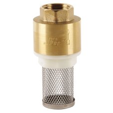 Клапан обратный внутренняя резьба 2" (JIF 311) с сеткой