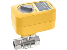 Кран с электроприводом Neptun PROFI 220В 1 1/4